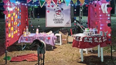 Durante las jornadas del fin de semana también habrá lugar para el cuidado animal. Foto gentileza