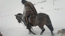 Imagen de «Contra el frío allá voy» en el norte neuquino: la foto que retrata la sacrificada vida de los crianceros