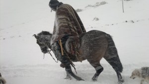 «Contra el frío allá voy» en el norte neuquino: la foto que retrata la sacrificada vida de los crianceros
