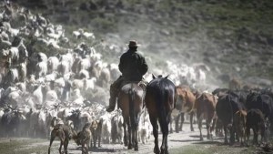 Don Sura: emocionante adiós a un criancero de ley en el norte neuquino