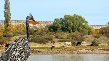 Hecha de chatarra, la garza ya quedó instalada a la vera del Río Negro.
