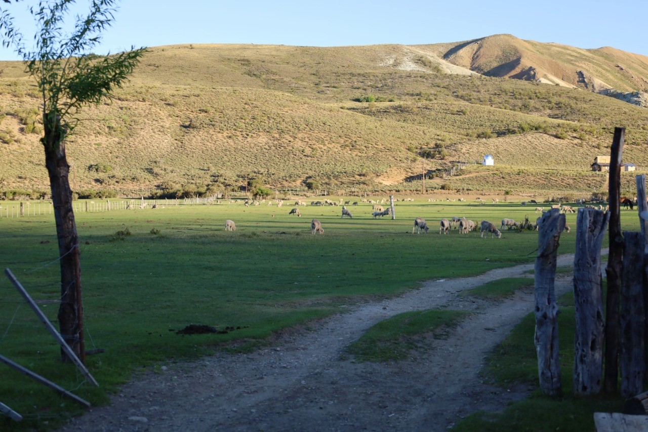 De vacaciones al campo: 5 lugares para conocer la Patagonia real entre ovejas, torta fritas e historias