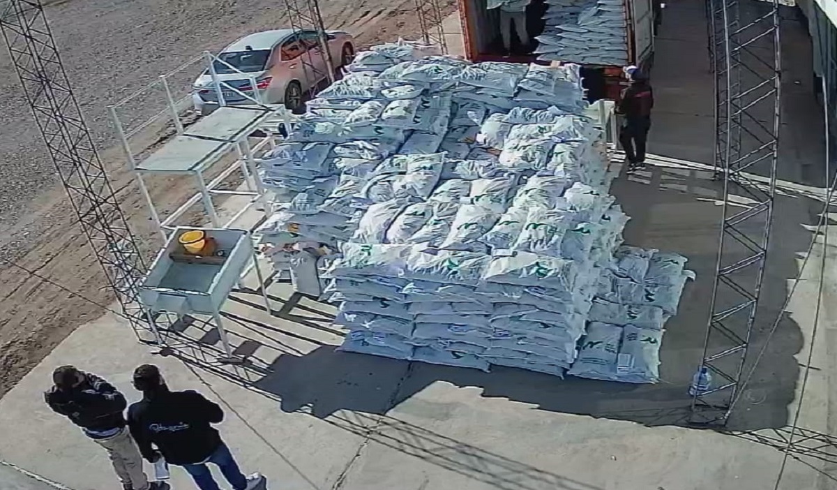 Unas 20.000 kilos de nueces arribarán a Bielorrusia, procedentes de Lamarque y tras pasar por la Aduana de Conesa. 