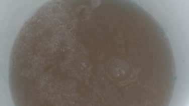 El agua presenta un color oscuro y las critícas sobre su salubridad aumentan. Foto gentileza