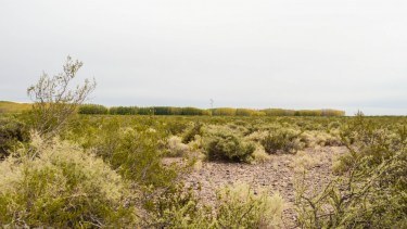 En Allen, Río Negro, hay un vertedero de residuos que será reconvertido en un centro de disposición final