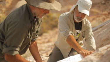 Sebastián Apesteguía es investigador en paleontología del Conicet y de la Fundación de Historia Natural Féliz de Azara