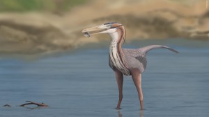 Desde serpiente con patas a un “dinosaurito”: los asombrosos animales que habitaron en La Buitrera
