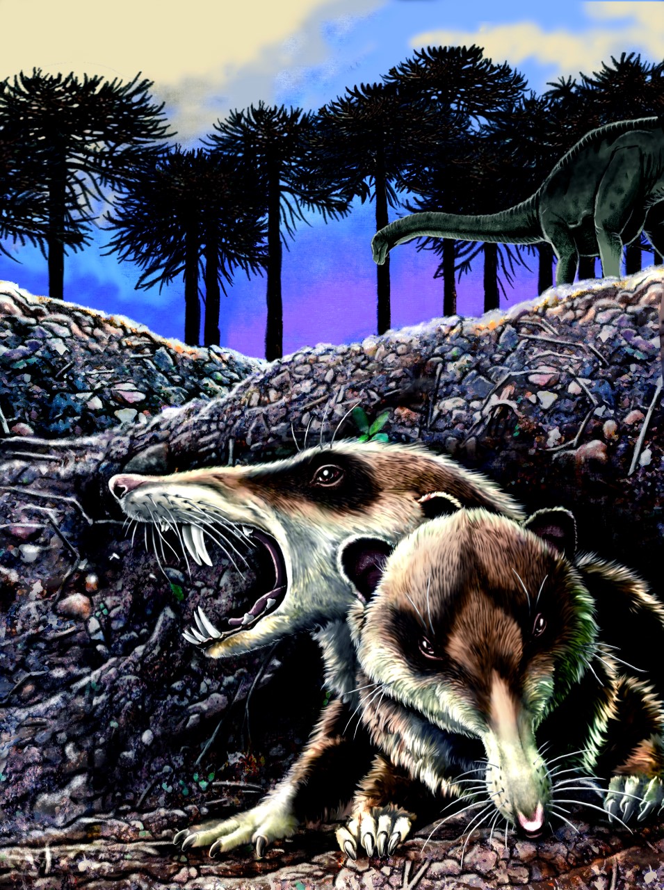 Cronopio dentiacutus fue un mamífero con un cráneo de menos de 5 centímetros y de hocico largo similar a “Scrat”, de la película “La Era del Hielo”