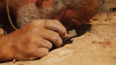 Además del conglomerado La Buitrera, en Río Negro, Apesteguía ha participado en campañas de investigación en Bolivia, Ecuador, Estados Unidos, Hungría y Francia