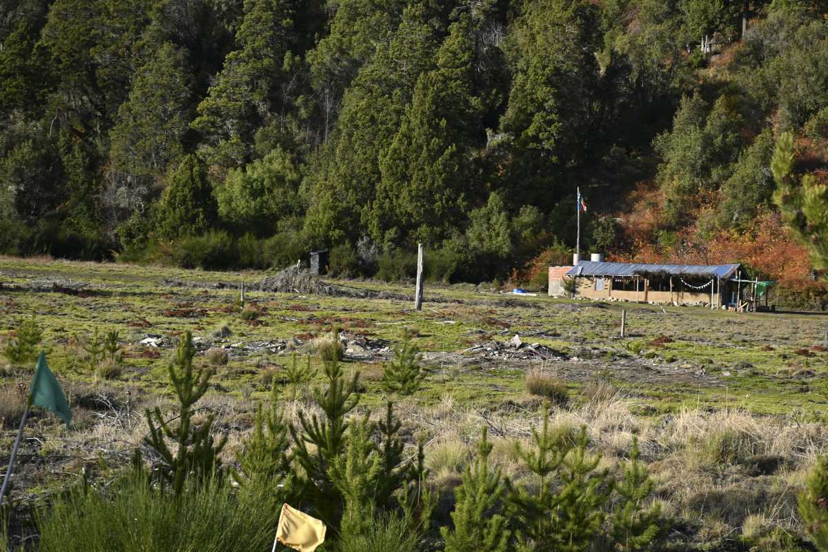 Las tierras que el Ejército reclama en Bariloche. (Foto Alfredo Leiva)
