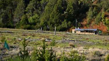 Las tierras que el Ejército reclama en Bariloche. (Foto Alfredo Leiva)