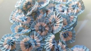 Efemérides del 18 de mayo: ¿qué pasó un día como hoy?