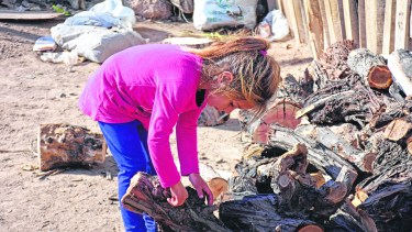 Las familias de bajos recursos deben mantener un equilibrio entre los gastos de la leña y otras necesidades de urgencia. Foto César Izza