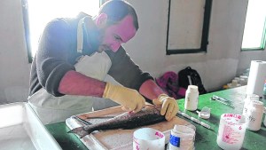 Buscan ratificar el estatus sanitario en el embalse Alicurá