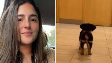 La chica le puso "Twitter" al cachorro, por la repercusión que recibió allí. Foto: redes sociales.-