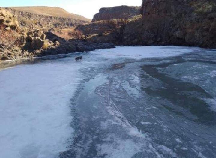 El río Catan Lil se congeló por las bajas temperaturas, que seguirán los próximos días. (Gentileza Alberto Mardones @chechealumine).-