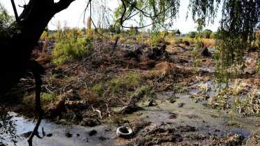 Los sectores de anegamiento en el curso del cauce del brazo Todero son rellenados con escombros y los árboles, talados. Al fondo el barrio Altos del Limay (foto Matías Subat)