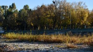 Mirá el pronóstico del tiempo para toda la semana en Neuquén y Río Negro