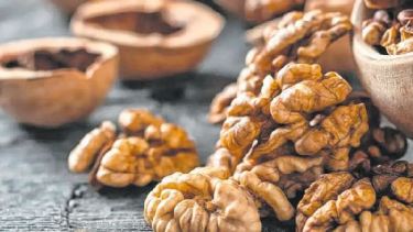 La cardióloga Sonia Costantini destacó los beneficios de consumir nueces.