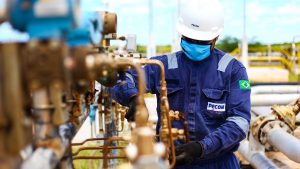 Pecom amplía sus actividades en Brasil