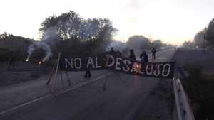 Desalojarán el aserradero de la Cooperativa 1° de Mayo si no encuentran una salida al conflicto, en Roca