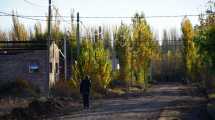 Imagen de Esperaron una década por la red de agua y todavía les falta luz y gas en un loteo de Roca