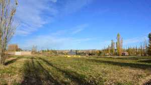 «Donde hay una necesidad, nace una excusa»