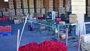 Nueva orden de desalojo para la cooperativa que ocupa un aserradero en Roca