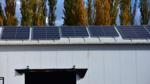 Paneles solares: Una frutícola que también se animó a probar el sistema fotovoltaico