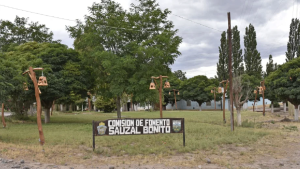 Nuevo temblor en Vaca Muerta: sismo en Sauzal Bonito