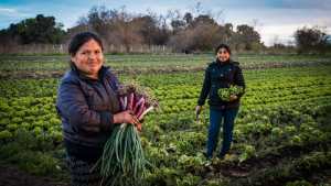 La producción de los alimentos desde una perspectiva de género