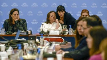 Cecilia Moreau expondrá los lineamientos de una propuesta unificada que firmará el Frente de Todos. Foto: Mariano Sánchez/NA