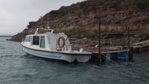 Nueva apuesta en El Chocón, verano en catamarán: cómo es el proyecto para turistas