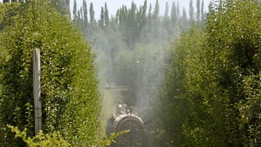 Asambleas ambientalistas y en defensa de los ríos debatieron en contra de las fumigaciones