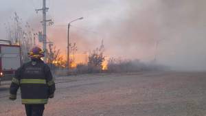 Un incendio afectó cuatro hectáreas en Plottier: trabajaron cinco dotaciones