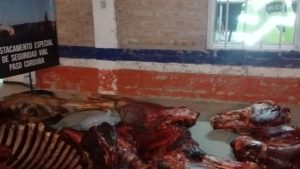 Secuestraron 300 kilos de carne de caballo en Roca