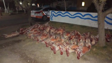 El procedimiento se realizó en el kilómetro 304 de la ruta nacional 23. Foto: Policía. 