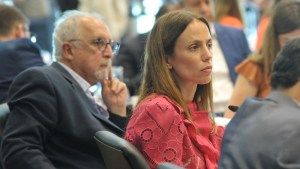 Los cinco diputados por Neuquén integrarán la Comisión de Energía del Congreso