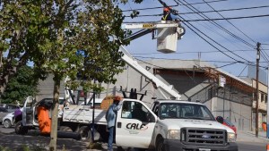 Calf respondió a los empresarios y aseguró que la tarifa no es la más cara del país