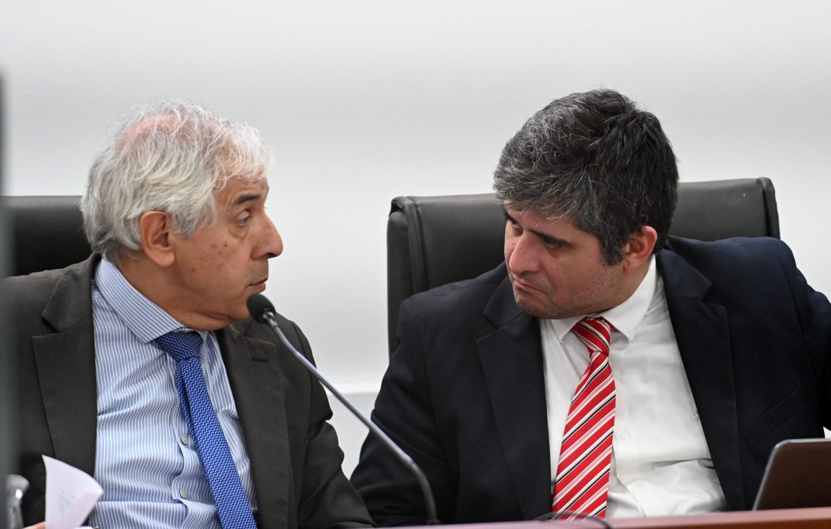 Julio Sueldo y Guillermo Merlo, dos de los jueces que intervinieron en el proceso. 