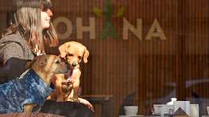 Crece la tendencia de los comercios amigos de perros y gatos en Neuquén