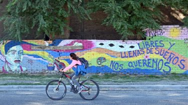 Una mirada con perspectiva de género, se planteó en la resolución, "nos exige a todas las partes, el mayor esfuerzo para no generar responsabilidad internacional". Foto Florencia Salto.