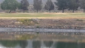 Se quiso refrescar y murió ahogado en la laguna artificial de un cementerio