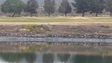 La laguna artificial donde se produjo la tragedia. 