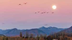 PreViaje 4 arranca hoy: prestadores inscriptos, guía para inscribirte y combinarlo con 6 cuotas sin interés en vuelos