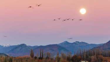 PreViaje es un programa de preventa turística que te reintegra el 50% del valor de tu viaje, para viajar y disfrutar de todos los destinos de Argentina.