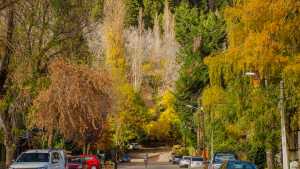 Previaje 4: último día para comprar, cómo cargar los comprobantes y hasta cuándo