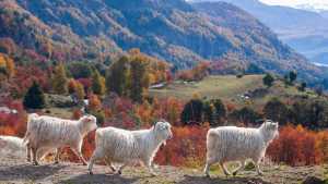«Días otoñales»: así seguirá el tiempo en Neuquén y Río Negro