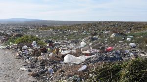De los basurales al gran reciclado: el cambio del Alto Valle
