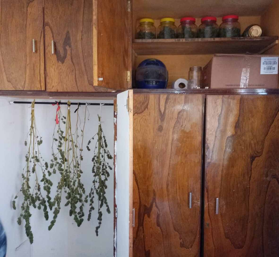 Los policías encontraron en un armario la marihuana prensada y los "cogollos" (flores) (foto: gentileza)